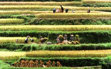 Συνεχίζεται η εξέγερση των αγροτών στη νότια Κίνα