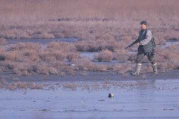 Ακυρη η κυνηγετική περίοδος 1999-2000 με απόφαση του ΣτΕ