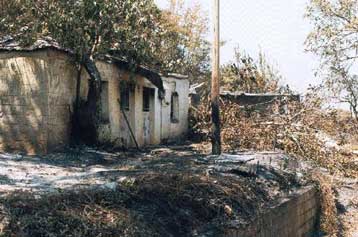 Πρωτόγνωρη η καταστροφή από τις πυρκαγιές του καλοκαιριού