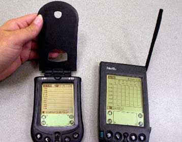 Εντοπίστηκε ο πρώτος δούρειος ίππος για Palm