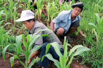 Σφοδρές συγκρούσεις αγροτών και αστυνομικών στη νότια Κίνα εξαιτίας της υψηλής φορολογίας