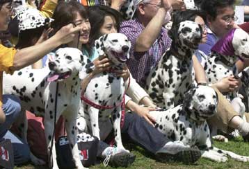 Φιλόζωοι εναντίον της Walt Disney
