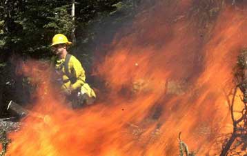 Ανεξέλεγκτες μαίνονται 84 πυρκαγιές στις ΗΠΑ – Εκκενώνονται περιοχές