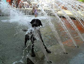 Η Ελλάδα για δεύτερη χρονιά εορτάζει το Αθάνατο Νερό