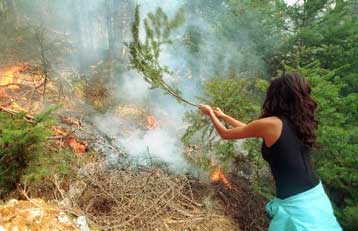 Δήμος, δωρίζει όχημα σε εθελοντές δασοπροστασίας