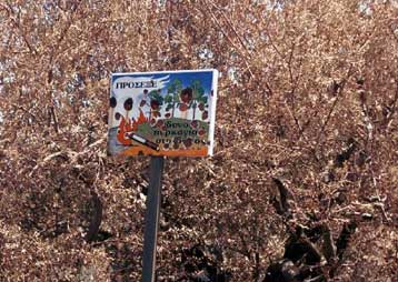 Σε επαγρύπνηση ο κρατικός μηχανισμός για νέες πυρκαγιές – Μέτρα για τους πυροπαθείς