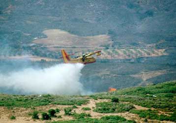 Αναζωπυρώθηκε η φωτιά στα Μαντέικα Αρκαδίας