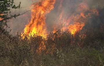 Μεγάλη πυρκαγιά σε εξέλιξη στην Κέρκυρα