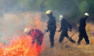 Δεκαεπτά φωτιές εξακολουθούν να κατακαίουν τη Βουλγαρία