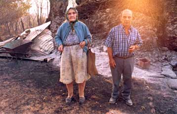 Σε ύφεση πολλά μέτωπα σε Ιωάννινα και Αρκαδία – Για εμπρησμό μιλούν κυβερνητικά στελέχη