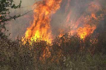 Βιβλική καταστροφή στα Ιωάννινα – Καταφθάνουν πυροσβεστικές δυνάμεις από το Ισραήλ