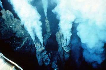 Στο φως ένα από τα αρχικά στάδια της ζωής