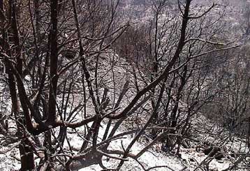 Σε πύρινο κλοιό η Βουλγαρία