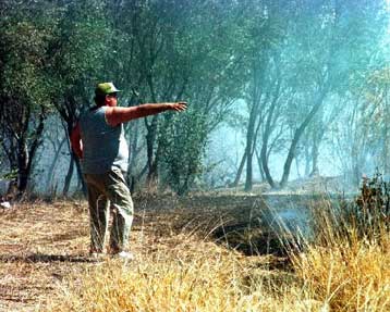 Τέσσερις οι νεκροί από την πυρκαγιά στα Ιωάννινα – Εκτακτη σύσκεψη συναρμόδιων υπουργών