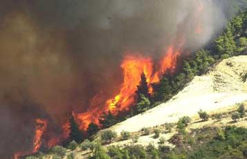 Δεκατέσσερις πυρκαγιές σε εξέλιξη σε όλη την Ελλάδα – Εκκενώνονται χωριά στην Αρκαδία