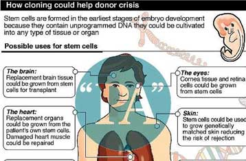 Πειράματα σε εμβρυακά κύτταρα και στις ΗΠΑ