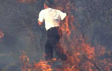 Μάχη σε έντεκα πύρινα μέτωπα σε όλη τη χώρα δίνουν οι πυροσβέστες