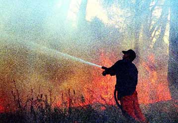 Μεγάλη πυρκαγιά μαίνεται στο Μαίναλο Αρκαδίας