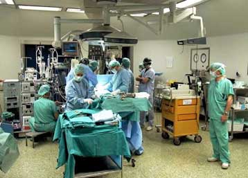 Επιστήμονες πραγματοποίησαν μεταμοσχεύσεις εγκεφαλικών κυττάρων