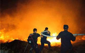 Πύρινη κόλαση στην Αρκαδία – Πυροσβέστες από όλη την Ελλάδα επί τόπου