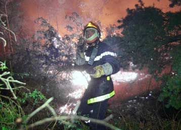 Καίγονται τα δάση σε Ισπανία, Γαλλία και Ιταλία