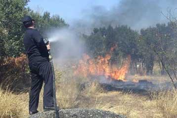 Φωτιά στο Αττικό Αλσος – Υπό έλεγχο η πυρκαγιά στην Αμαλιάδα