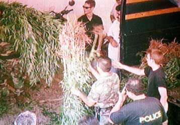 Oι εφτά πληγές της αστυνομίας – Ποια αστυνομικά τμήματα πρωταγωνιστούν στη διαφθορά