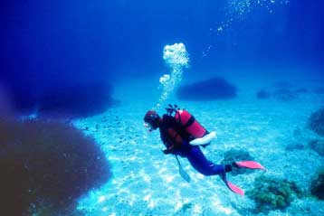 Η Ιντερπόλ και το κυνήγι του χαμένου θησαυρού των Εβραίων