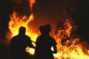 Στις φλόγες για δεύτερη ημέρα το προστατευόμενο δάσος στο Λαϊλιά Σερρών