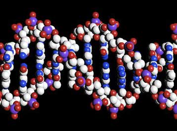 Η ΙΒΜ κατασκεύασε τον πιο προηγμένο κβαντικό υπολογιστή του κόσμου