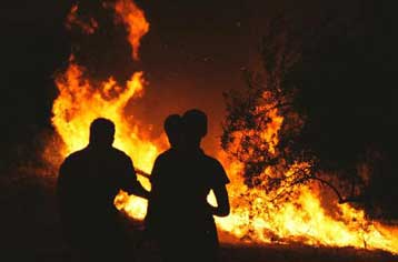 Φωτιά σε δασική έκταση της Καβάλας