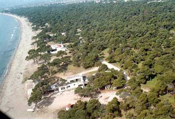 Παρωδία το εθνικό πάρκο Σχινιά, καταγγέλλουν οι οικολόγοι