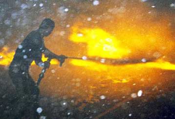 Σύστημα συναγερμού θα προστατεύει τα δάση από τις πυρκαγιές