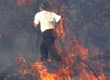 Υπό έλεγχο οι περισσότερες πυρκαγιές σε όλη την Ελλάδα