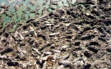 Η λειψυδρία εντείνει τη διαμάχη για το νερό