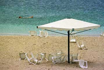 Νέες αντιδράσεις από το WWF για τις Ολυμπιακές εγκαταστάσεις στο Σχοινιά