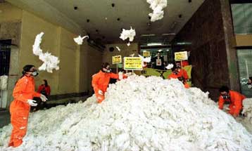 Εισαγγελική έρευνα για τους μεταλλαγμένους βαμβακόσπορους