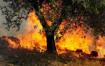 Υπό έλεγχο τέθηκε η φωτιά στα Ισθμια, σε εξέλιξη τα μέτωπα σε Λάρισα και Πήλιο