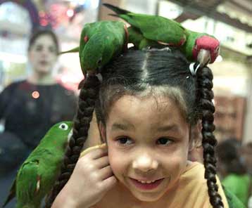 Κλήση για παράνομη στάθμευση εισέπραξε… παπαγάλος στην Πάτρα