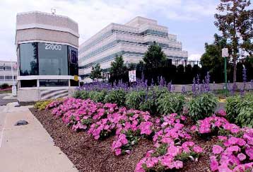 H AOL εγκαταλείπει τη μηχανή αναζήτησης MP3