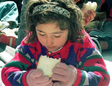 Εξανεμίζονται τα εισοδήματα των Τούρκων