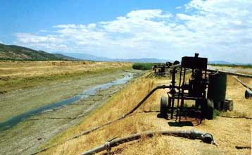 Σοβαρές καταστροφές στις καλλιέργειες προκαλεί η λειψυδρία σε Θεσσαλία – Μακεδονία