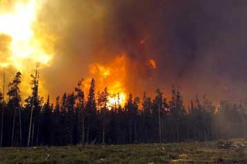 Υπό πλήρη έλεγχο η πυρκαγιά στην Κεφαλλονιά αργά το απόγευμα της Τρίτης