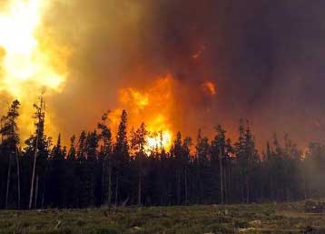 Υπό έλεγχο η φωτιά στις Σπέτσες – Εργο εμπρηστών, σύμφωνα με το δήμαρχο