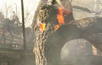 Υπό έλεγχο τέθηκε η φωτιά στις Σπέτσες