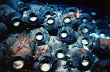 Ερευνα για βυθισμένο πλοίο στη  Δυτική Μεσόγειο αποκαλύπτει αρχαίο ναυάγιο