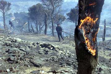 Στις φλόγες και οι Σπέτσες