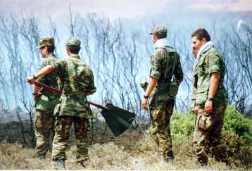 Υπό έλεγχο η πυρκαγιά στην ελληνοβουλγαρική μεθόριο