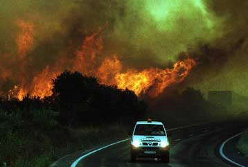 Καίγεται η Ισπανία – Πάνω από 50.000 στρέμματα παρανάλωμα του πυρός