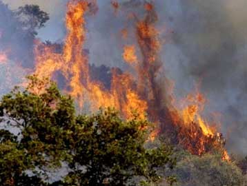 Δύσκολη η κατάσβεση των πυρκαγιών που κατακαίουν τη δυτική ακτή των ΗΠΑ